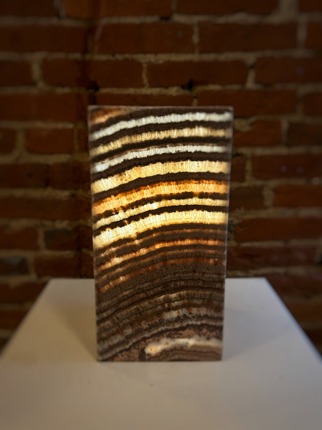 Small Cocoa Zebra Square Calcite Rectangle Lamp