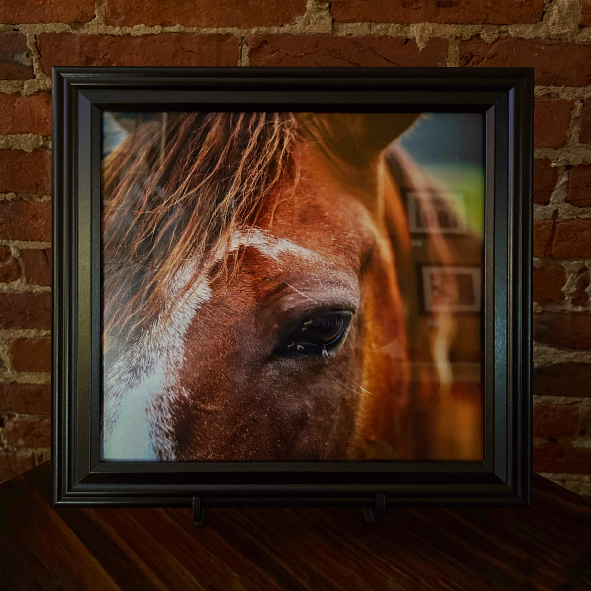 "Horse, Edmonson County" Photograph