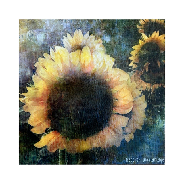Wooldridge "Sunset at Sara's" Print