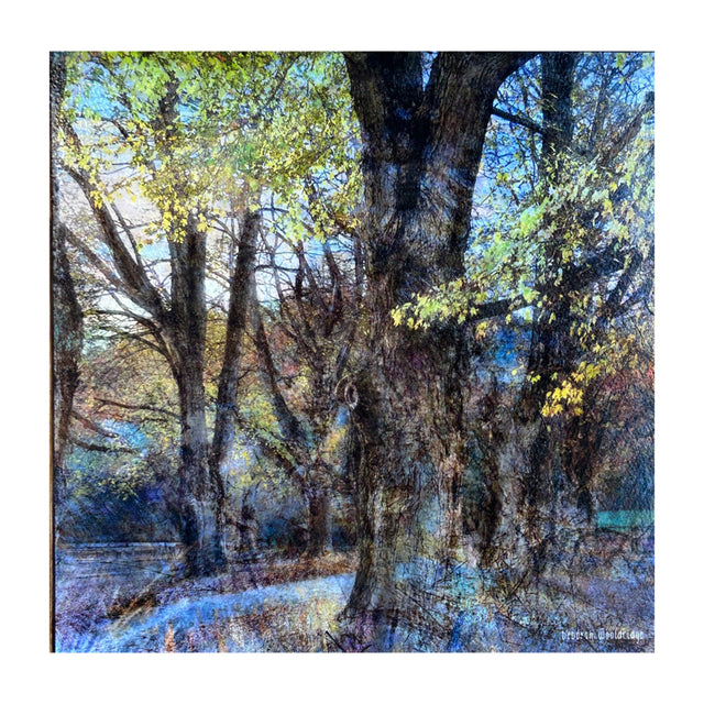 Wooldridge "Walk in the Park" Print