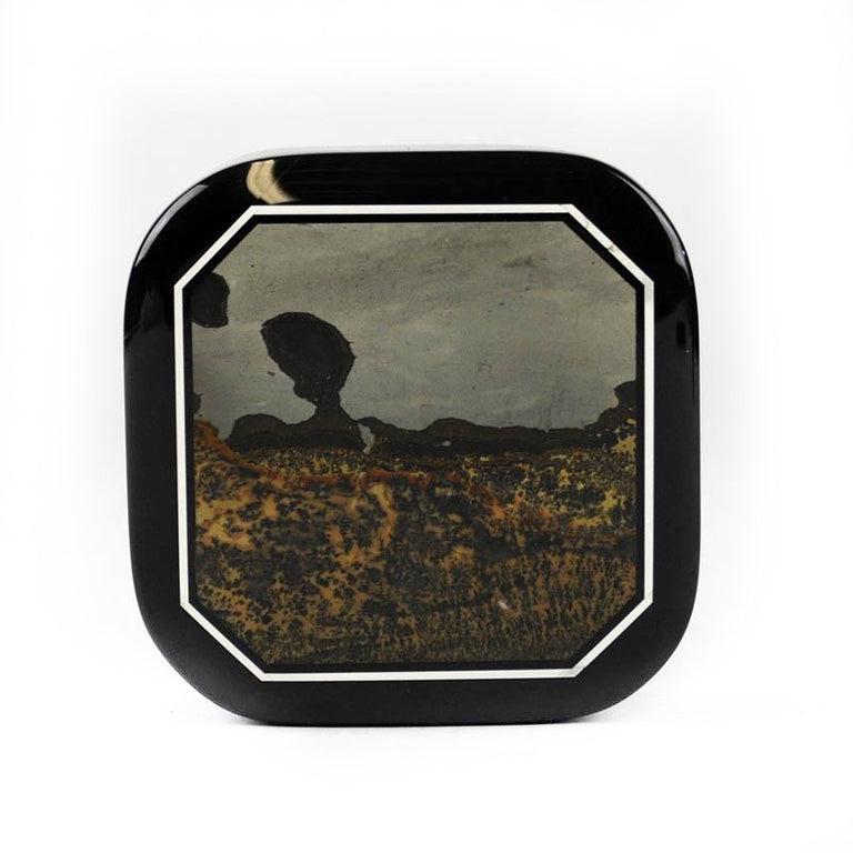 Nature's Paintbrush Jasper Intarsia Squircle Pill Box