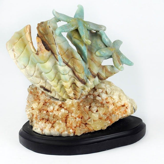 Blue Quartz Sea Fan + Starfish
