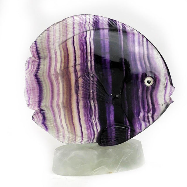 Fluorite Reef Fish