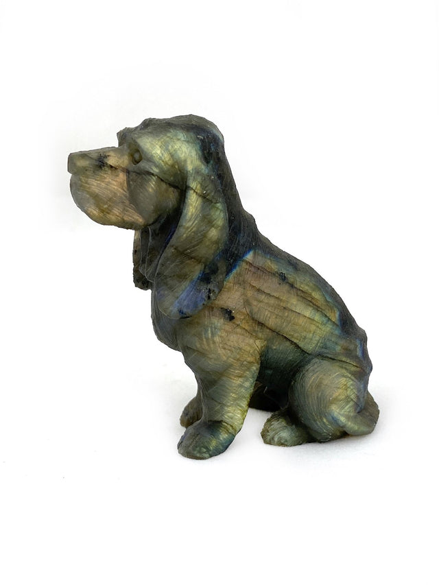 Labradorite Dog