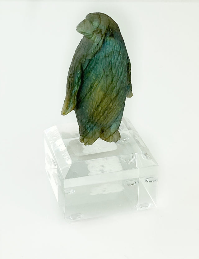 Labradorite Penguin