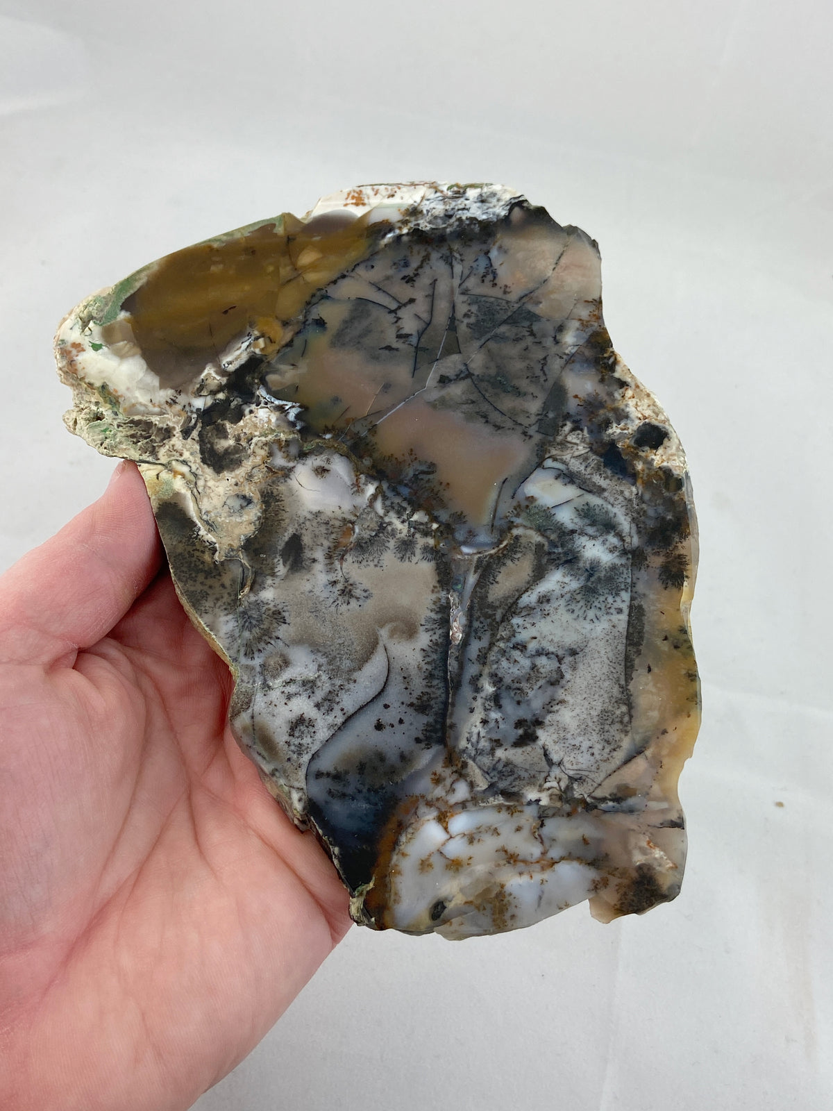 Moss Agate Slice