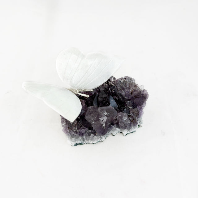 White Dolomite Butterfly with Amethyst