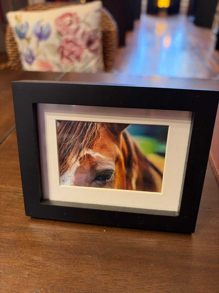 Small "Horse, Edmonson County" Photograph