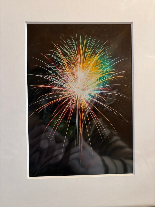 "Fireworks 2, Taylor County" Photograph (mat)