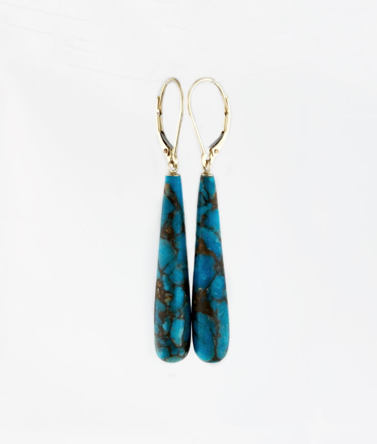 Turquoise Drop Charm Earrings
