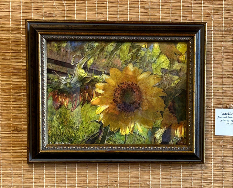 Wooldridge "Backlit Sunflowers" Print