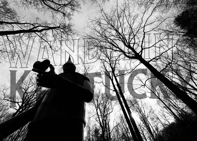 B+W "Heart of the Forest, Bernheim Forest, Bullitt County" Photograph