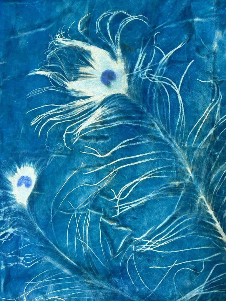 Cyanotype Peacock Feathers Silk Scarf