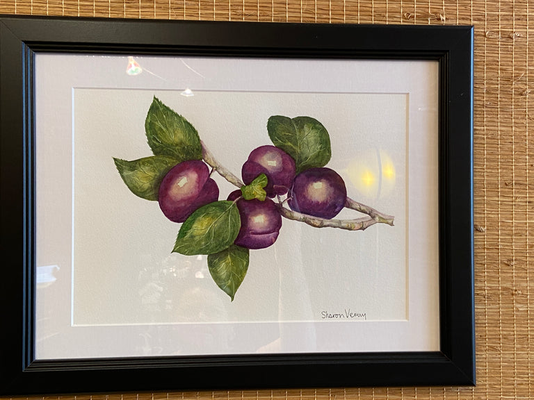 Framed "Plums" Watercolor