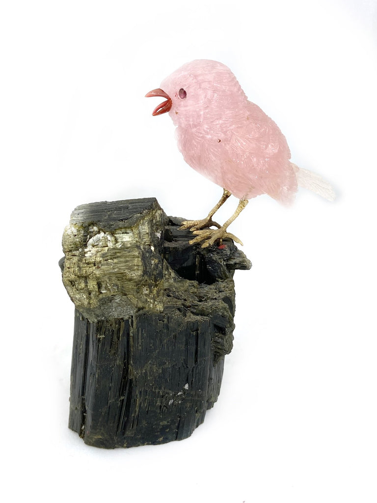 Singing Sparrow in Morganite