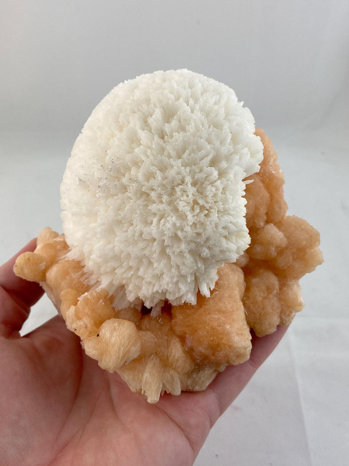 Okenite "Bloom" on Pink Stilbite Crystals