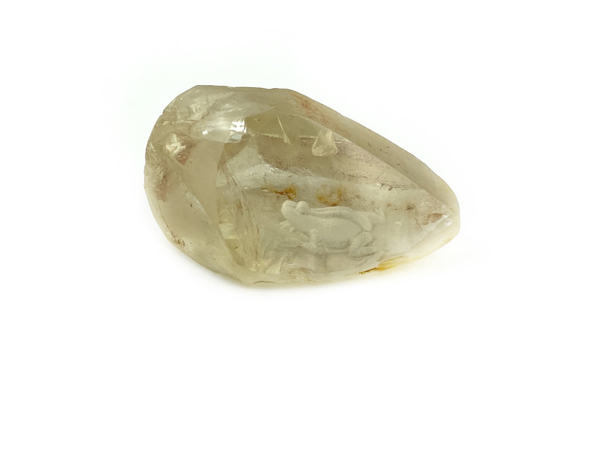 Frog Internal Carving