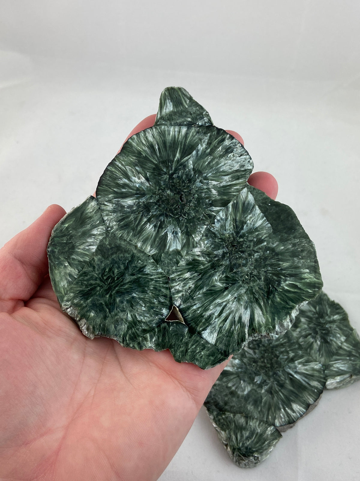 Clinochlore Slice