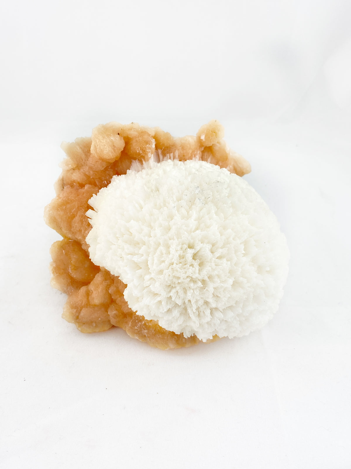 Okenite "Bloom" on Pink Stilbite Crystals